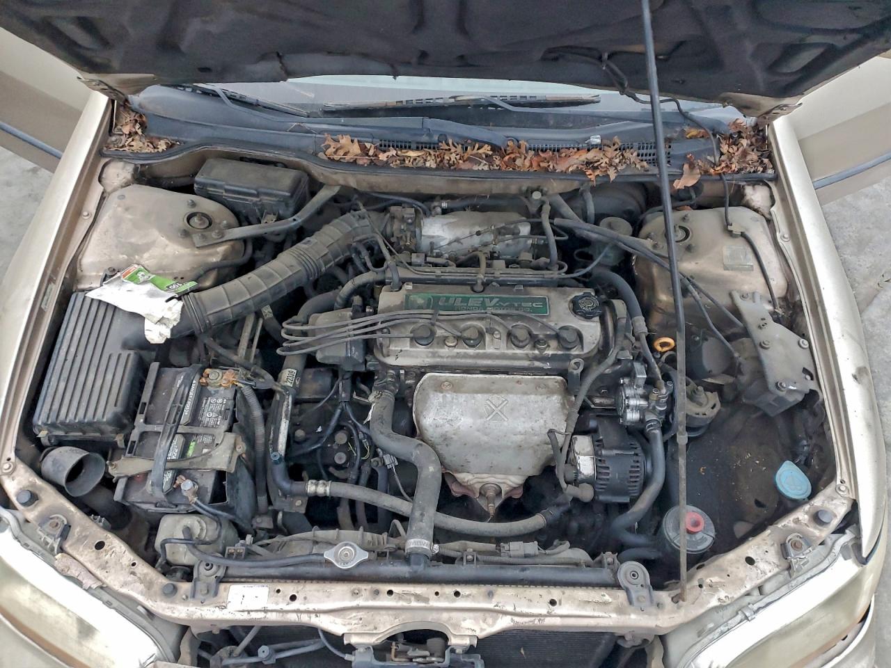 2000 HONDA ACCORD LX photo 11