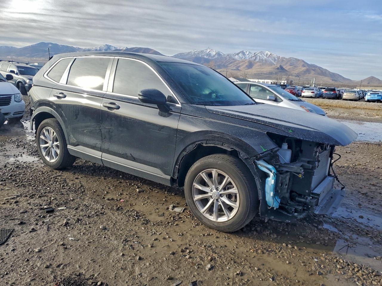 2025 HONDA CR-V EXL photo 4