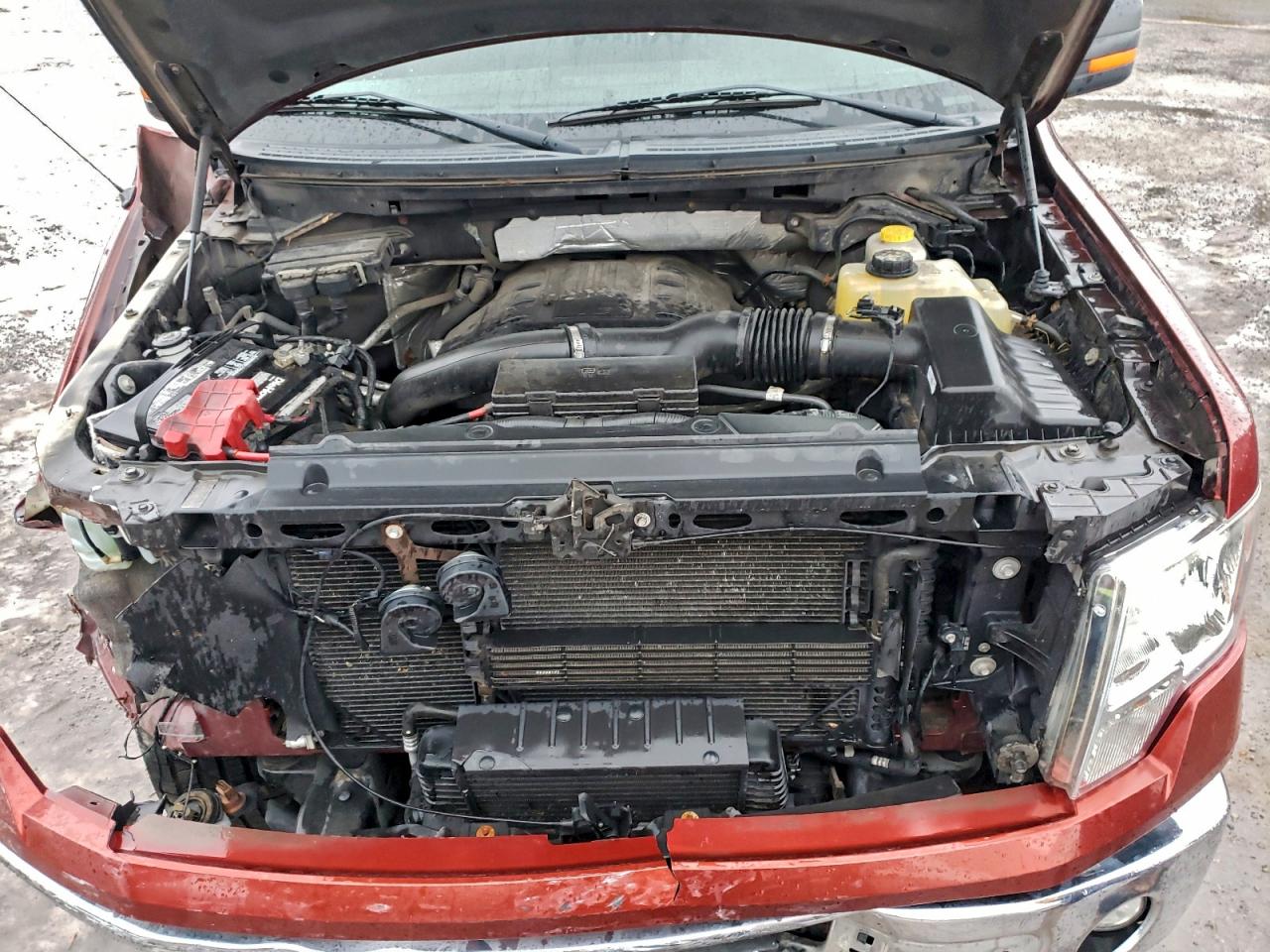 2014 FORD F150 SUPERCREW photo 11