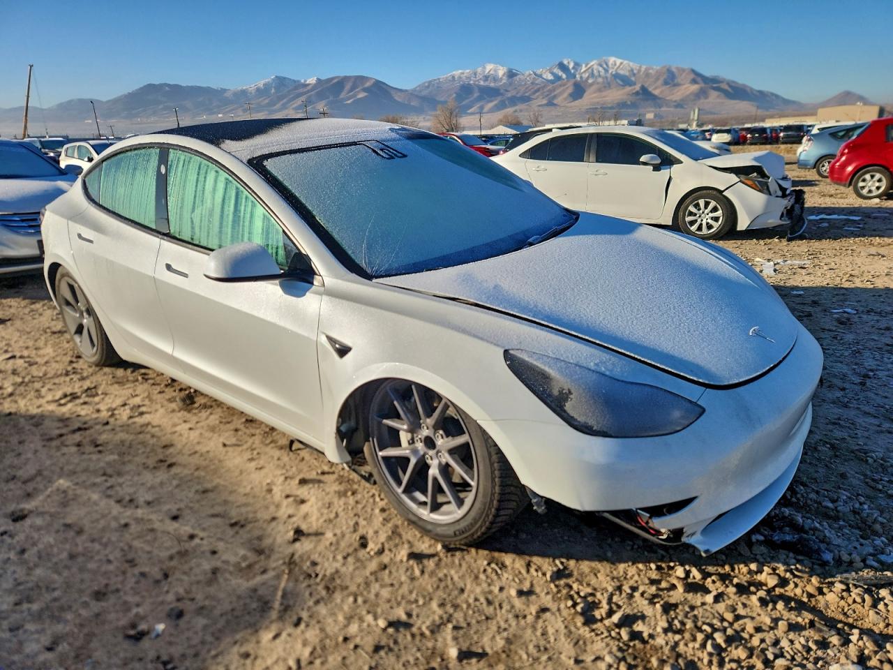 2023 TESLA MODEL 3 photo 4