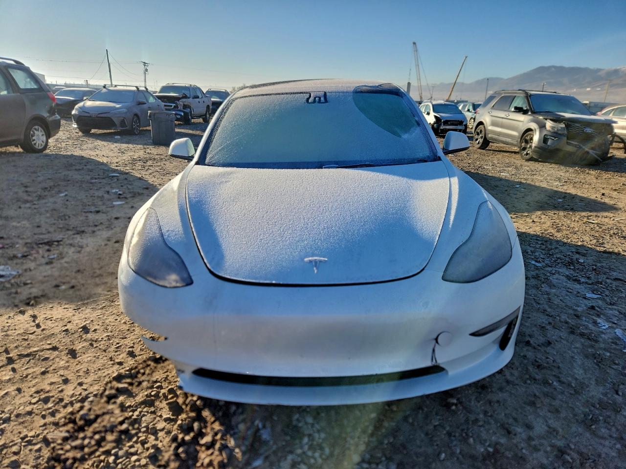 2023 TESLA MODEL 3 photo 5