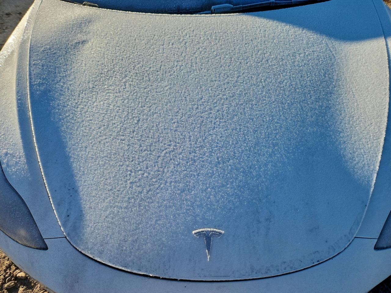 2023 TESLA MODEL 3 photo 11