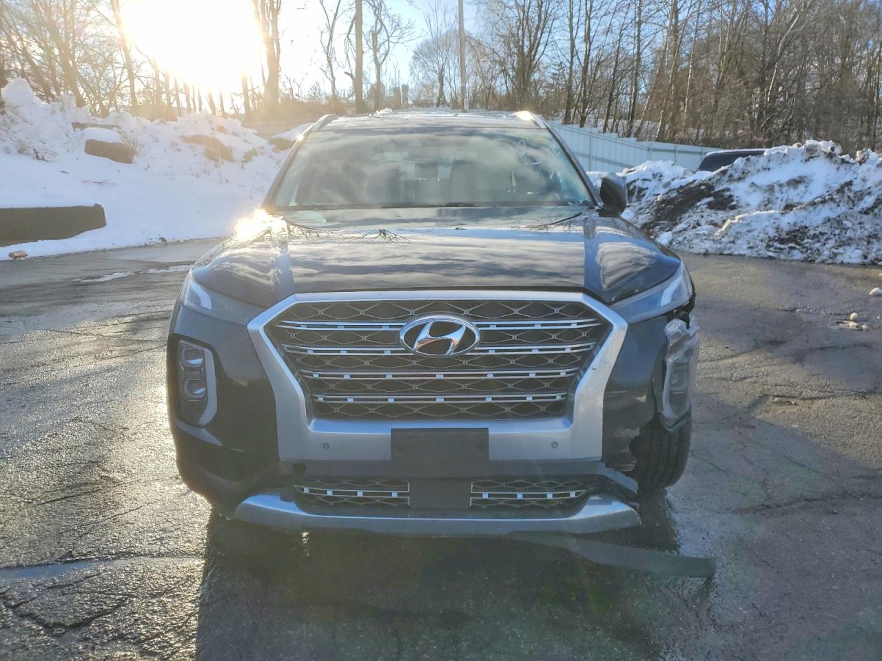 2020 HYUNDAI PALISADE LIMITED photo 9