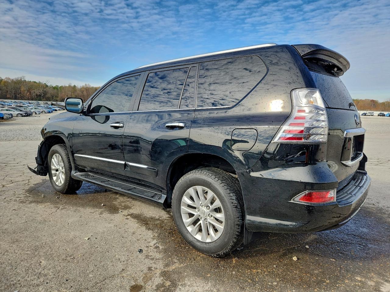 2017 LEXUS GX 460 photo 2