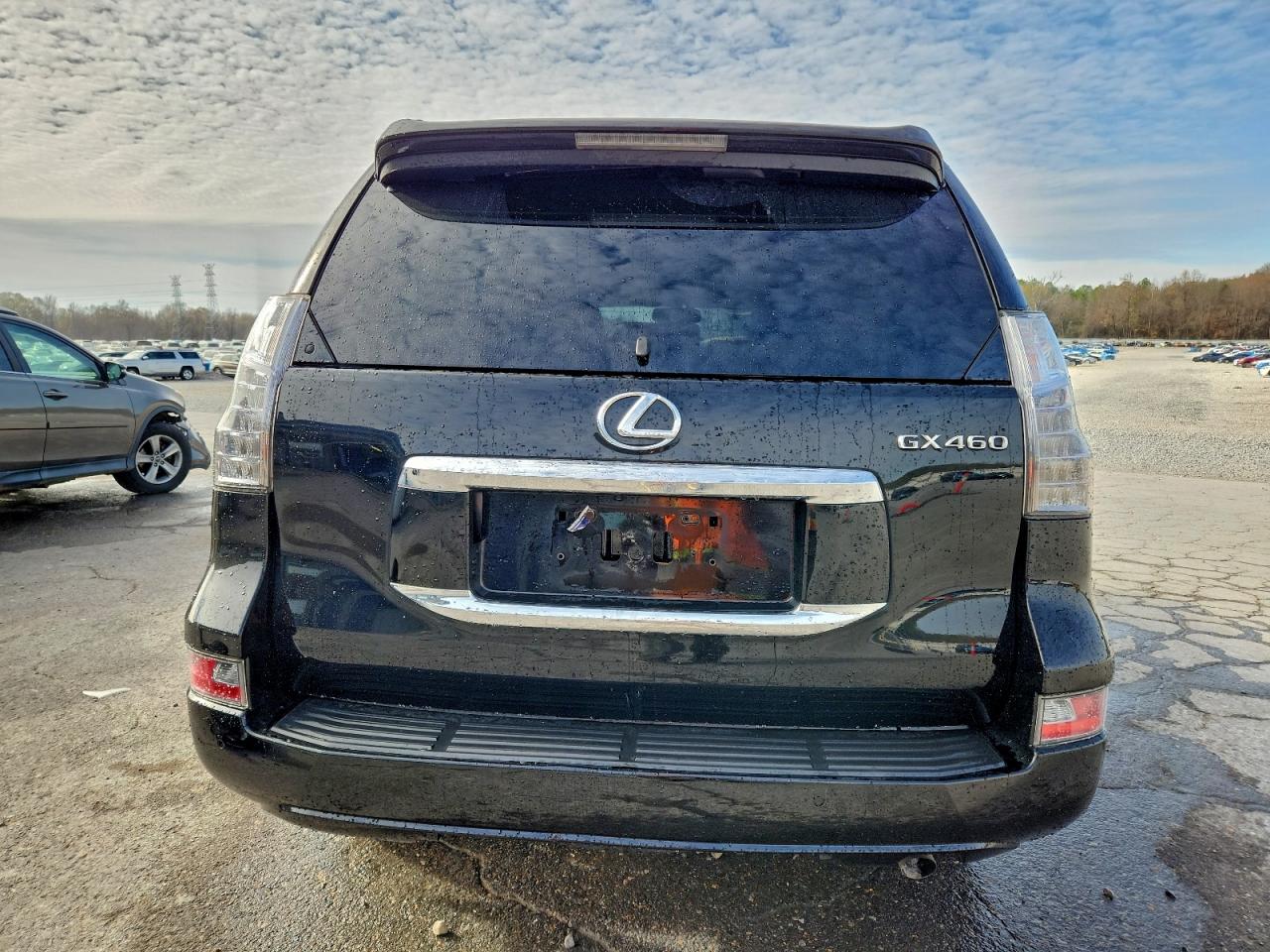 2017 LEXUS GX 460 photo 6