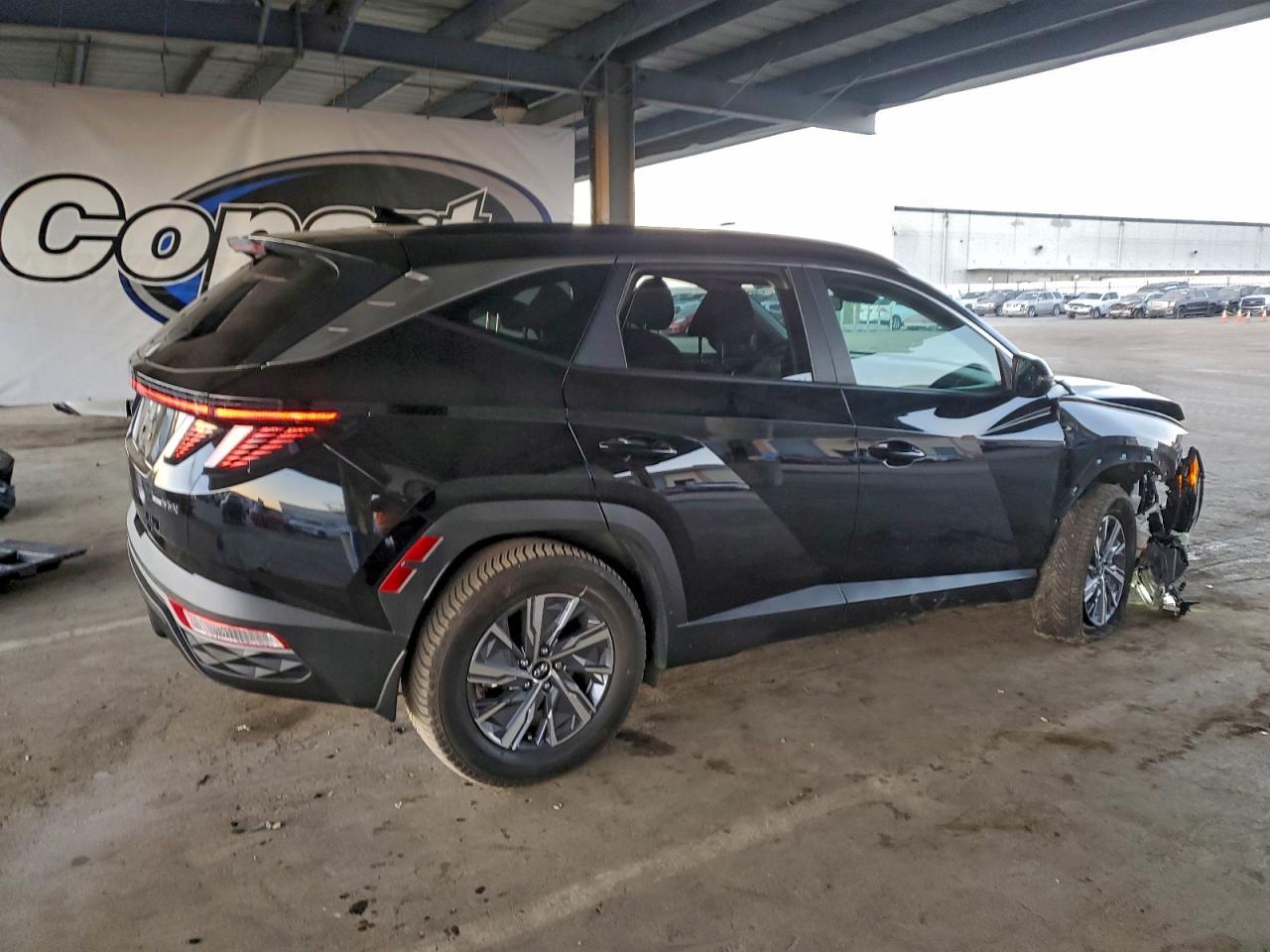 2023 HYUNDAI TUCSON BLUE photo 3