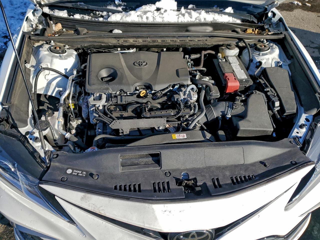 2024 TOYOTA CAMRY LE photo 11