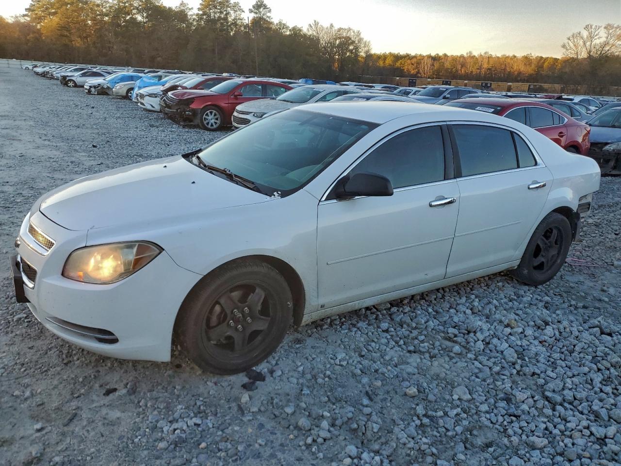2009 CHEVROLET MALIBU