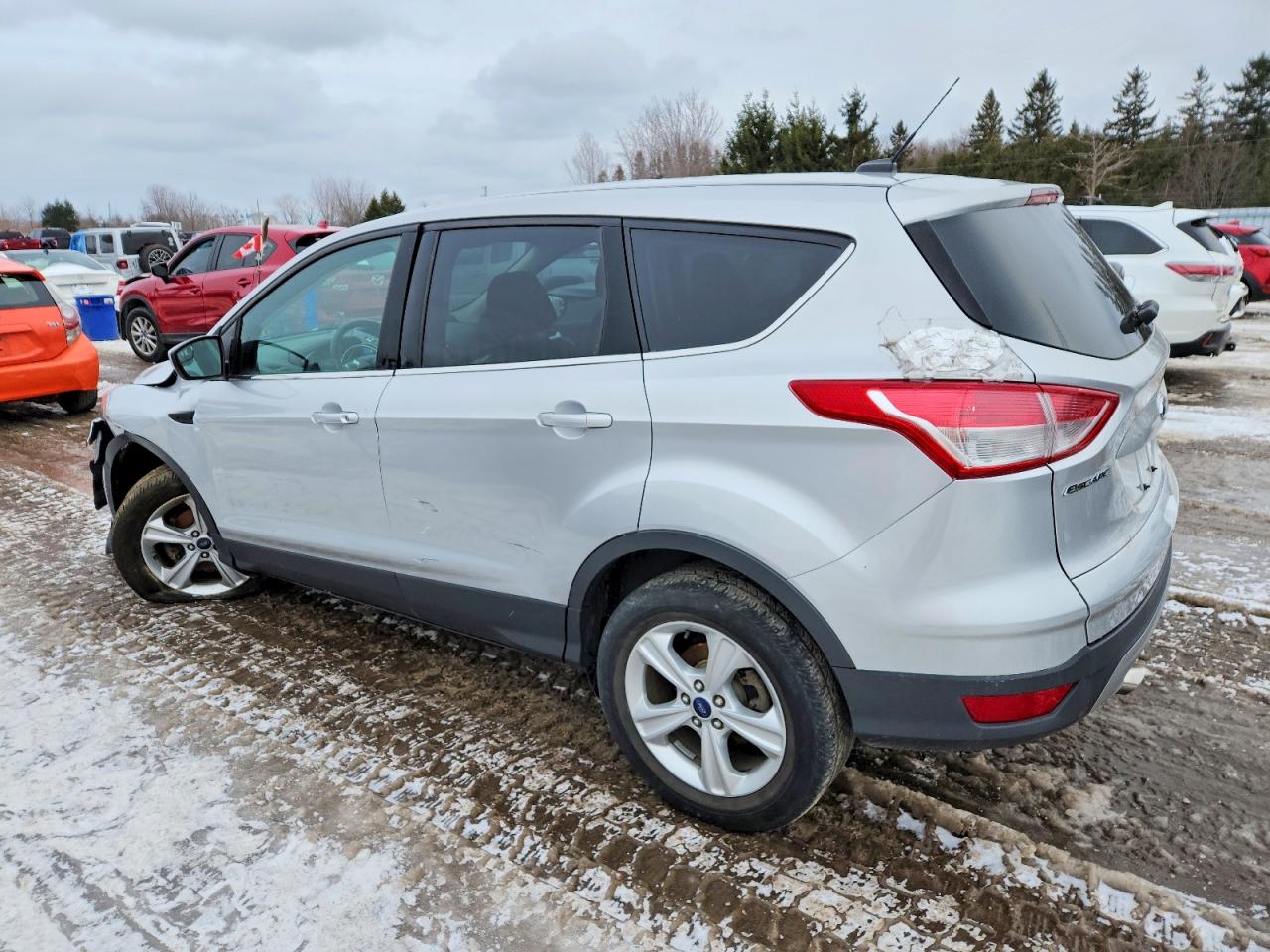 2014 FORD ESCAPE SE photo 2