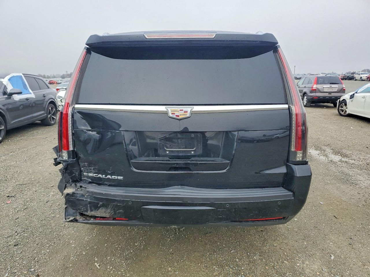 2016 CADILLAC ESCALADE ESV PLATINUM photo 6
