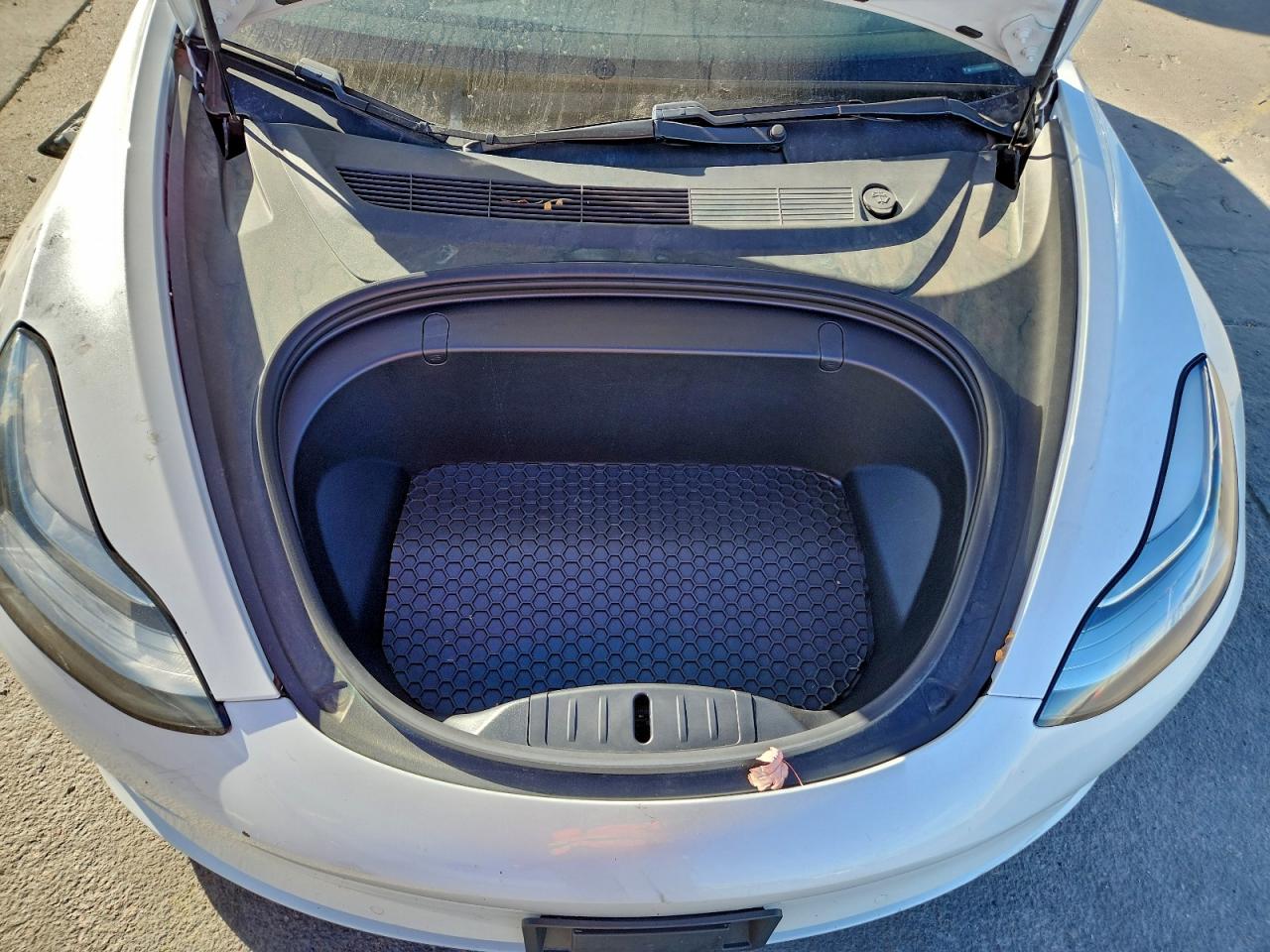 2019 TESLA MODEL 3 photo 11