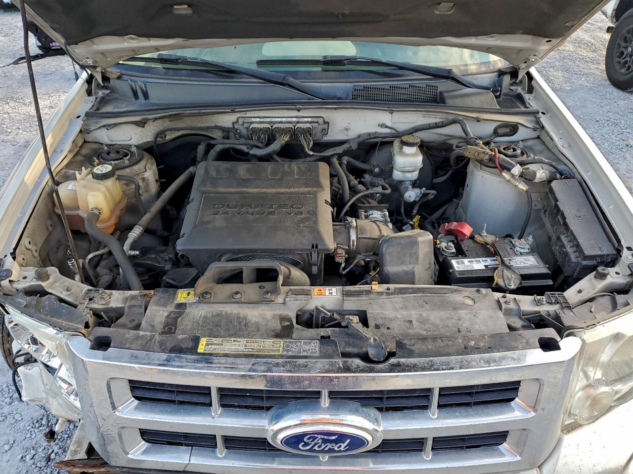 2010 FORD ESCAPE XLT photo 12