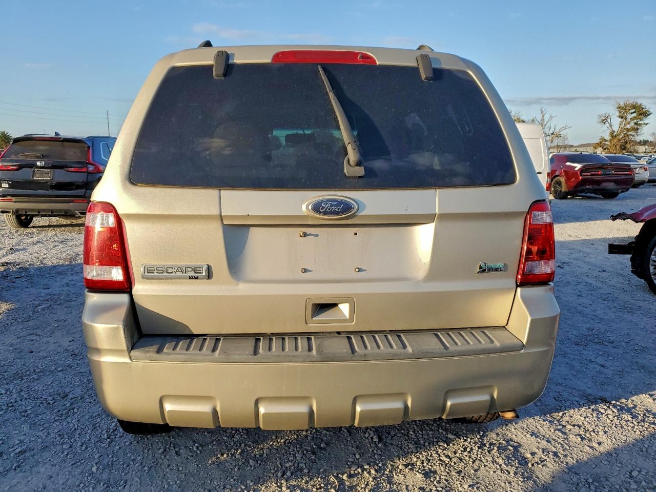2010 FORD ESCAPE XLT photo 6