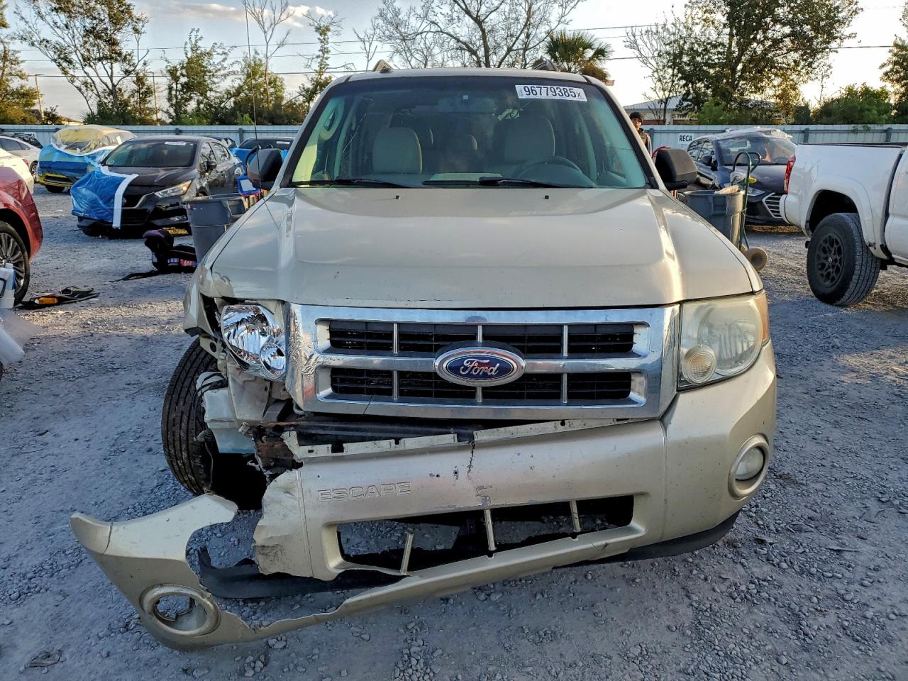 2010 FORD ESCAPE XLT photo 5