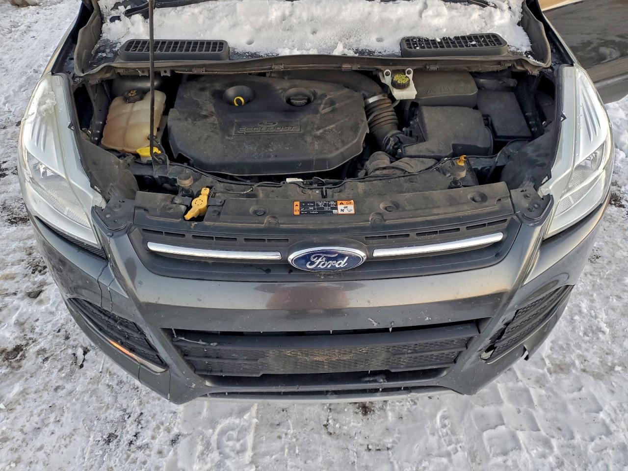 2016 FORD ESCAPE SE photo 12