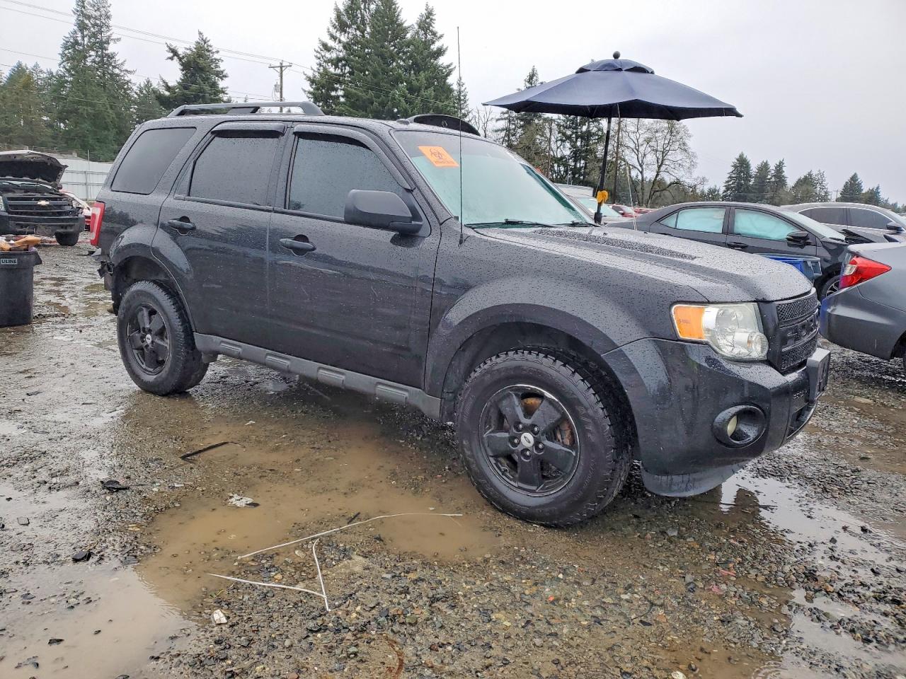 2011 FORD ESCAPE XLT photo 4