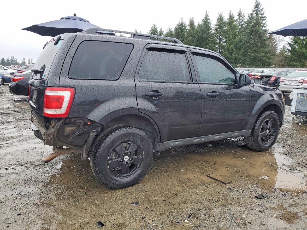 2011 FORD ESCAPE XLT photo 3