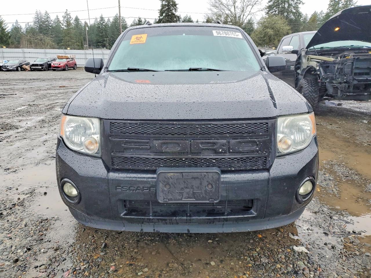 2011 FORD ESCAPE XLT photo 5