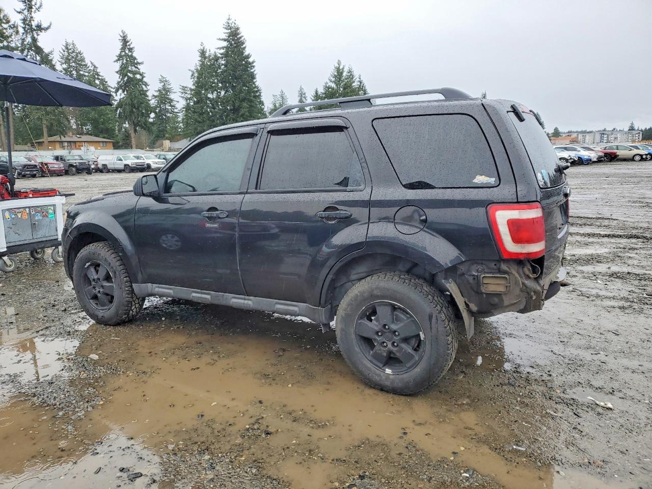 2011 FORD ESCAPE XLT photo 2
