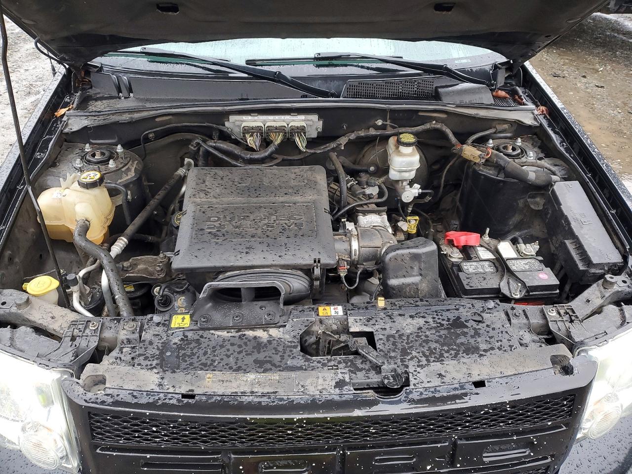 2011 FORD ESCAPE XLT photo 12
