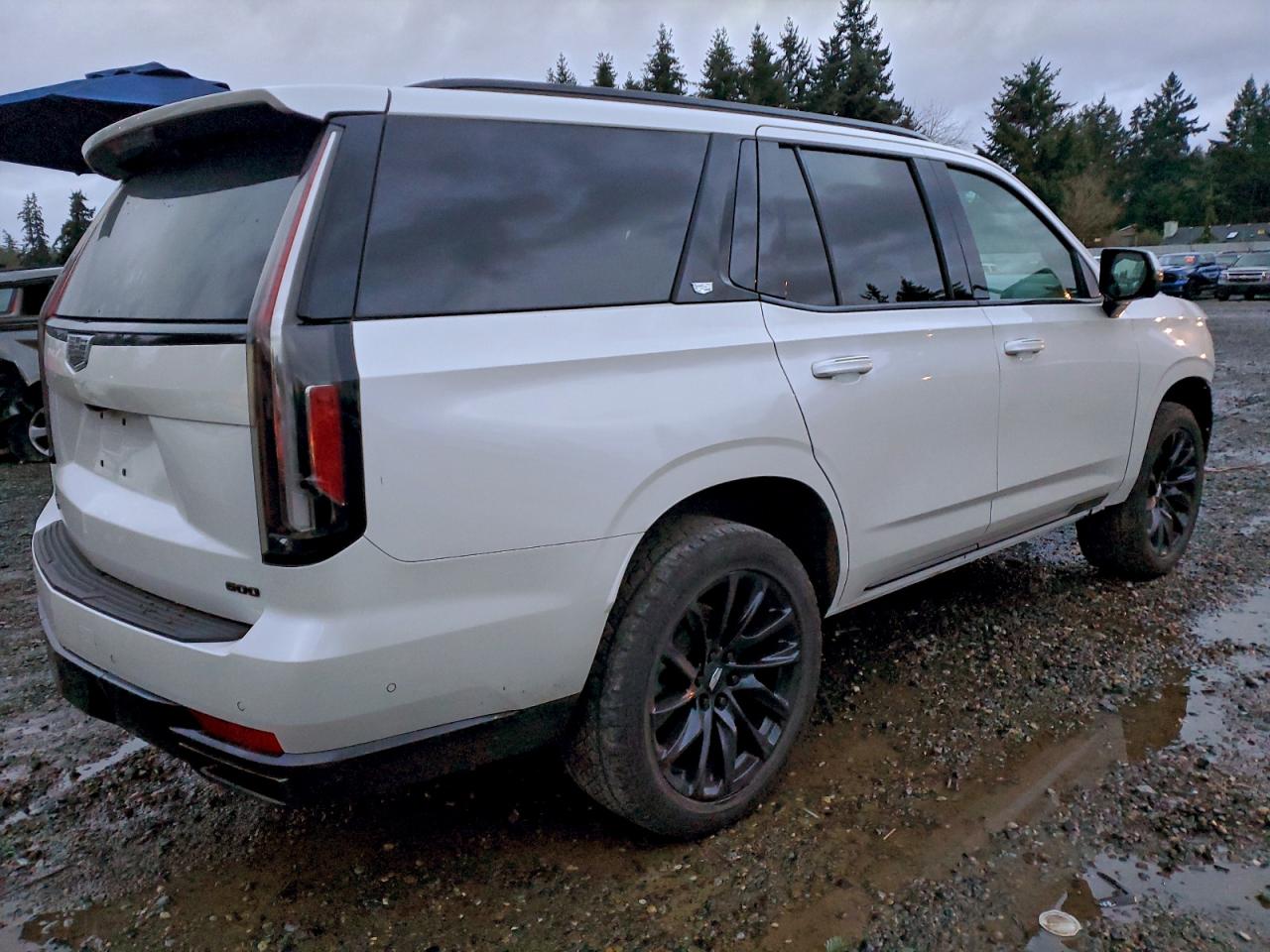 2021 CADILLAC ESCALADE SPORT PLATINUM photo 3