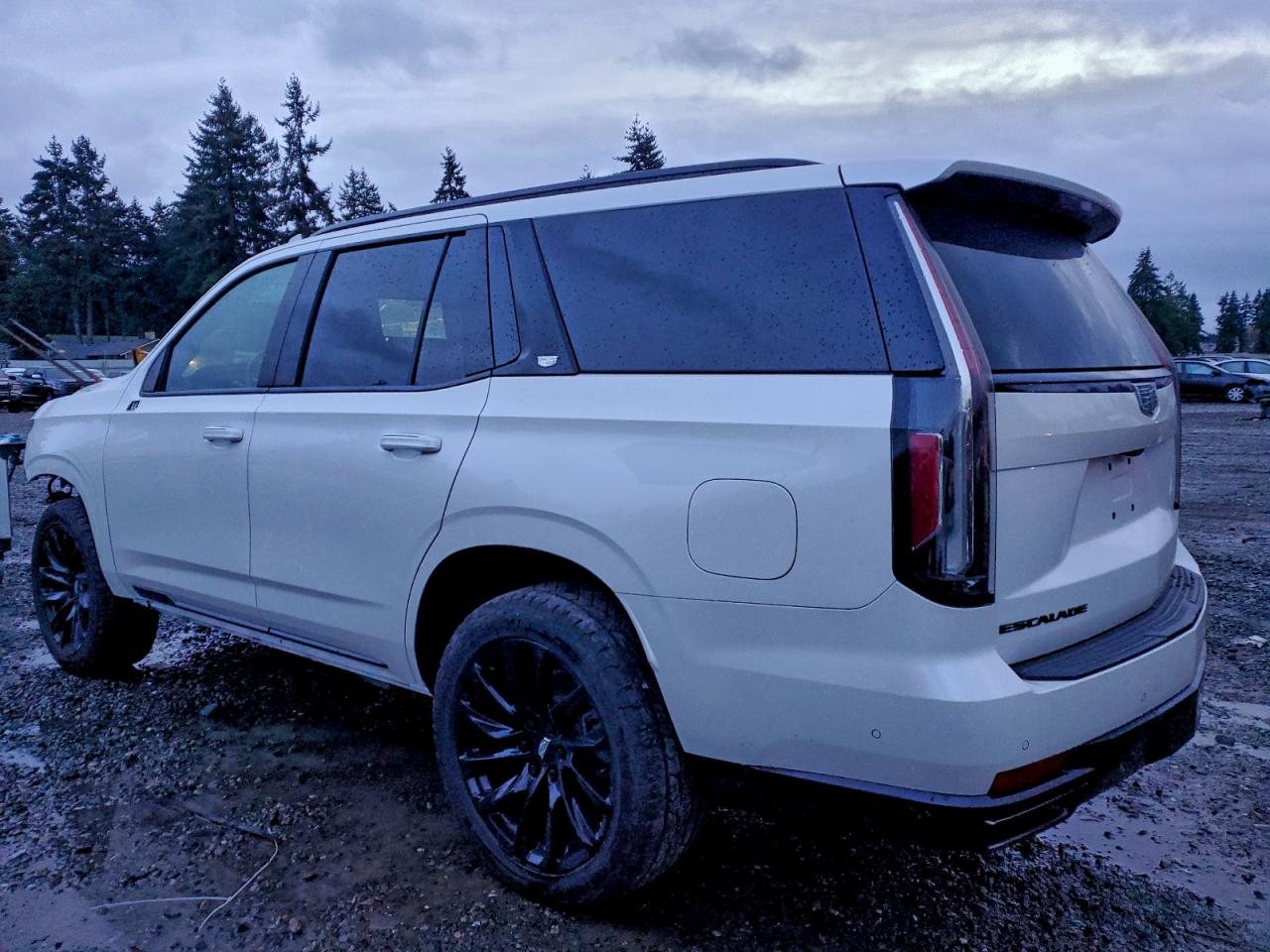 2021 CADILLAC ESCALADE SPORT PLATINUM photo 2