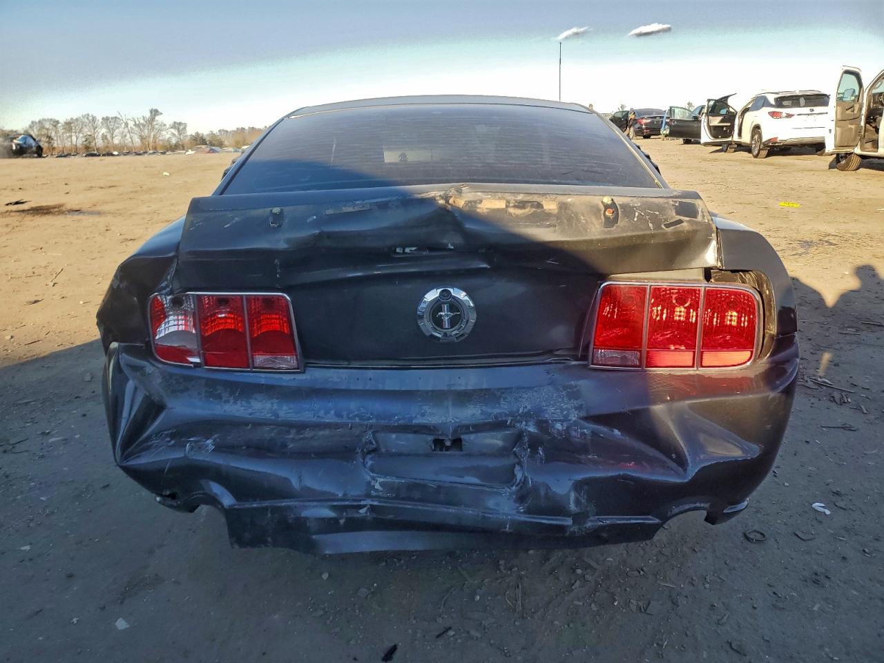 2008 FORD MUSTANG photo 6