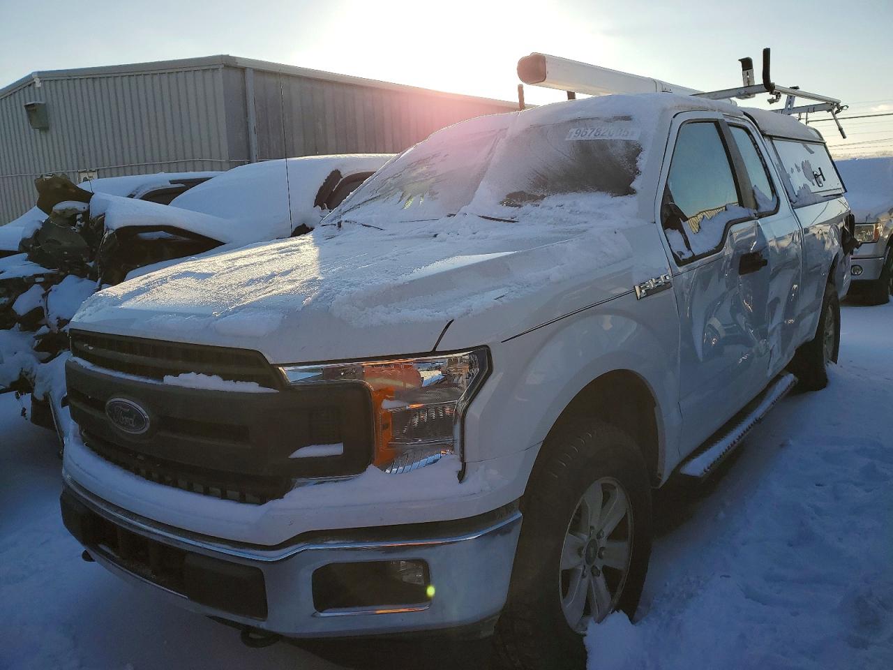 2019 FORD F150
