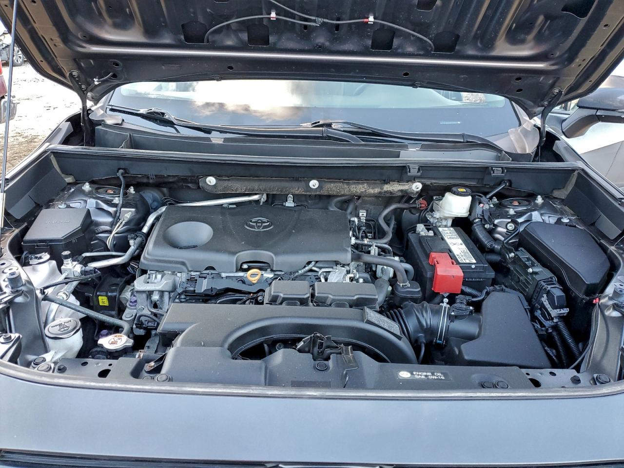 2019 TOYOTA RAV4 XLE photo 12