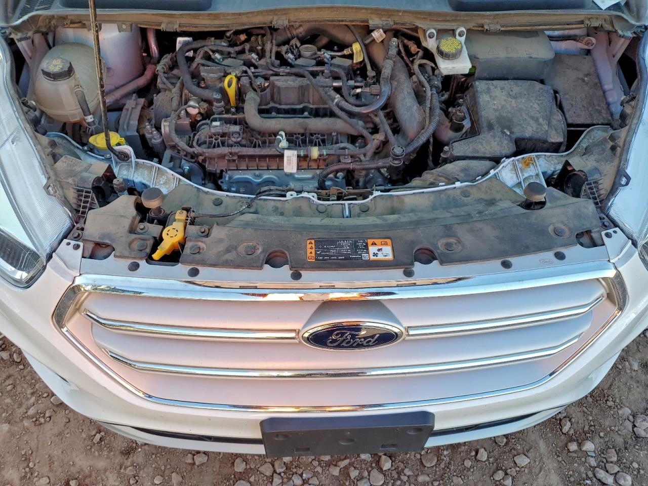 2019 FORD ESCAPE SE photo 12