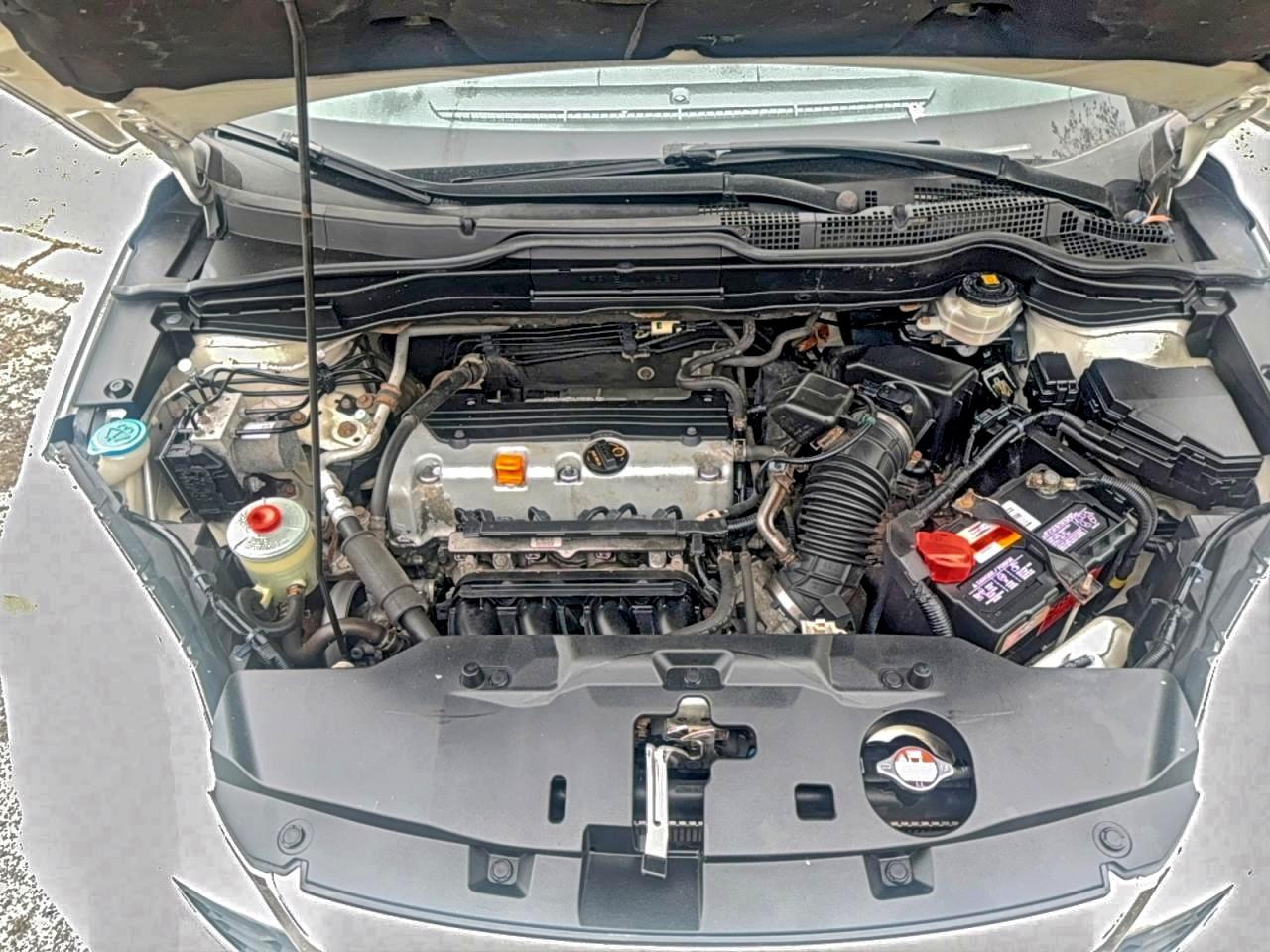 2010 HONDA CR-V EXL photo 7