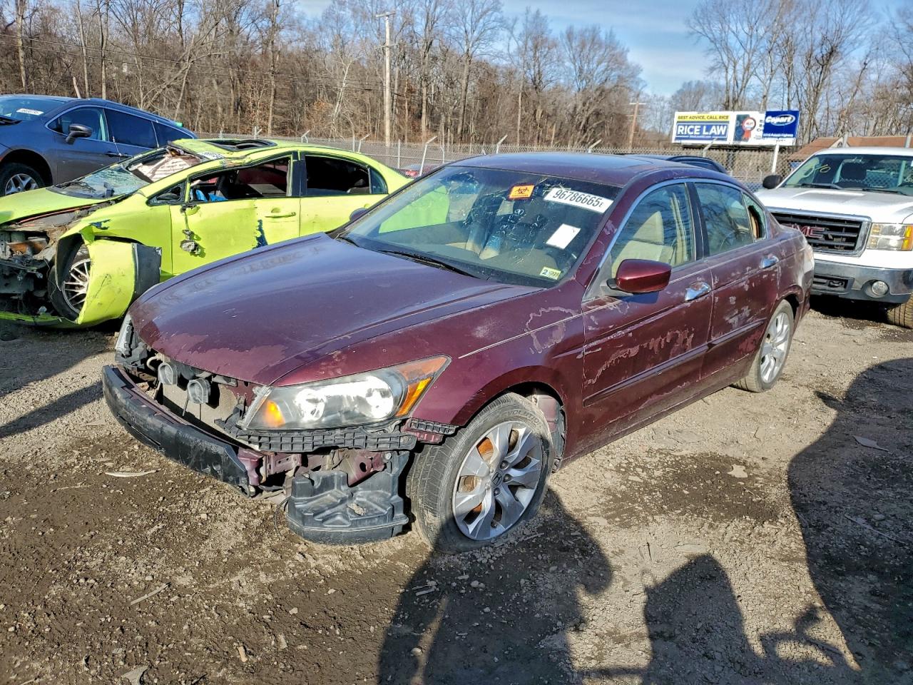 2008 HONDA ACCORD EXL — FRONT END damage — photo 1