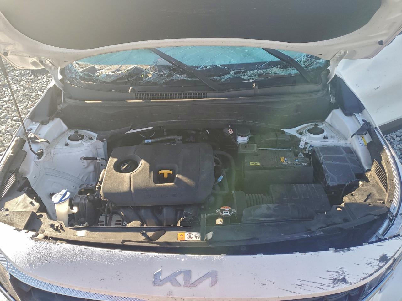 2023 KIA SELTOS LX photo 11
