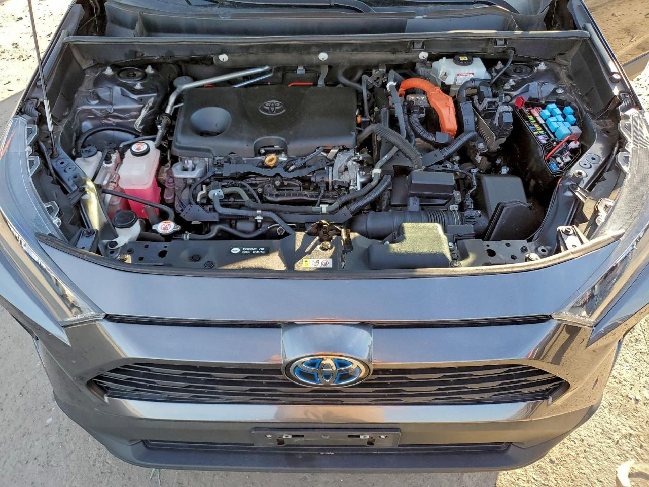 2021 TOYOTA RAV4 LE photo 12
