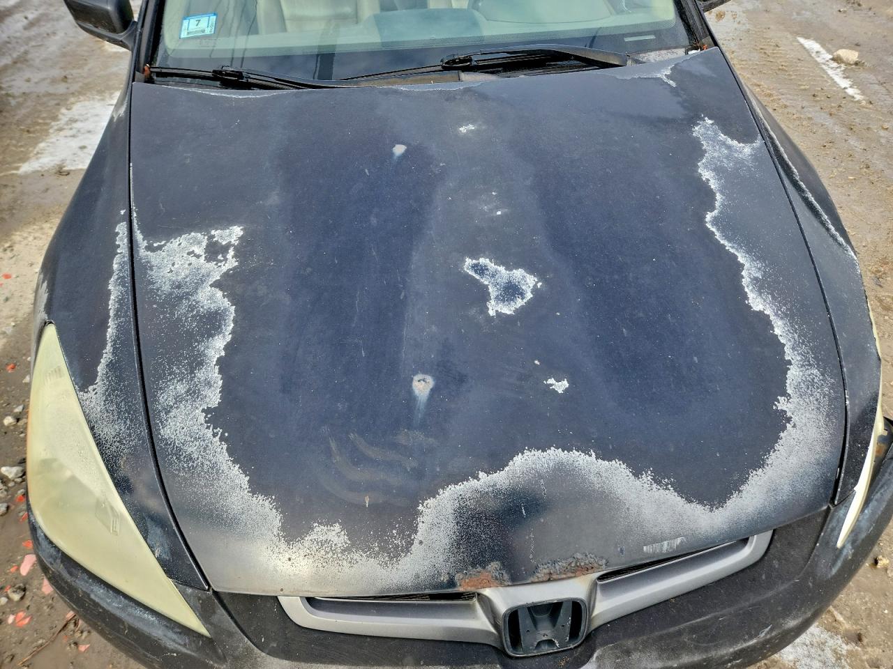 2005 HONDA ACCORD EX photo 11