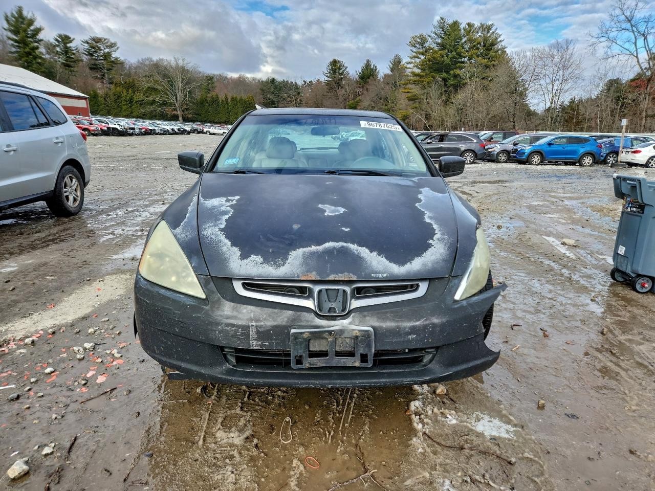 2005 HONDA ACCORD EX photo 5
