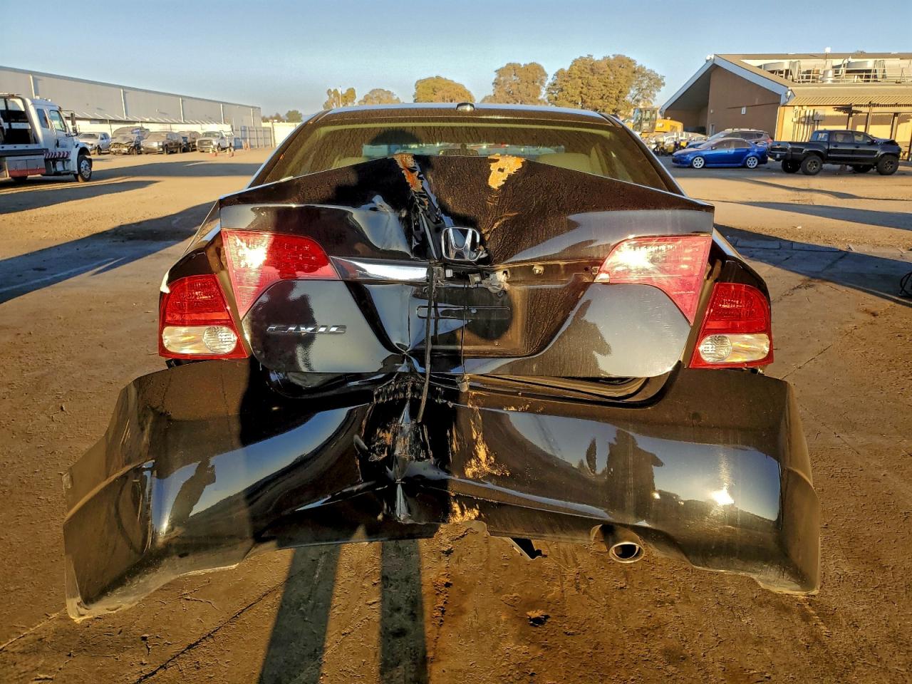 2010 HONDA CIVIC EXL photo 6