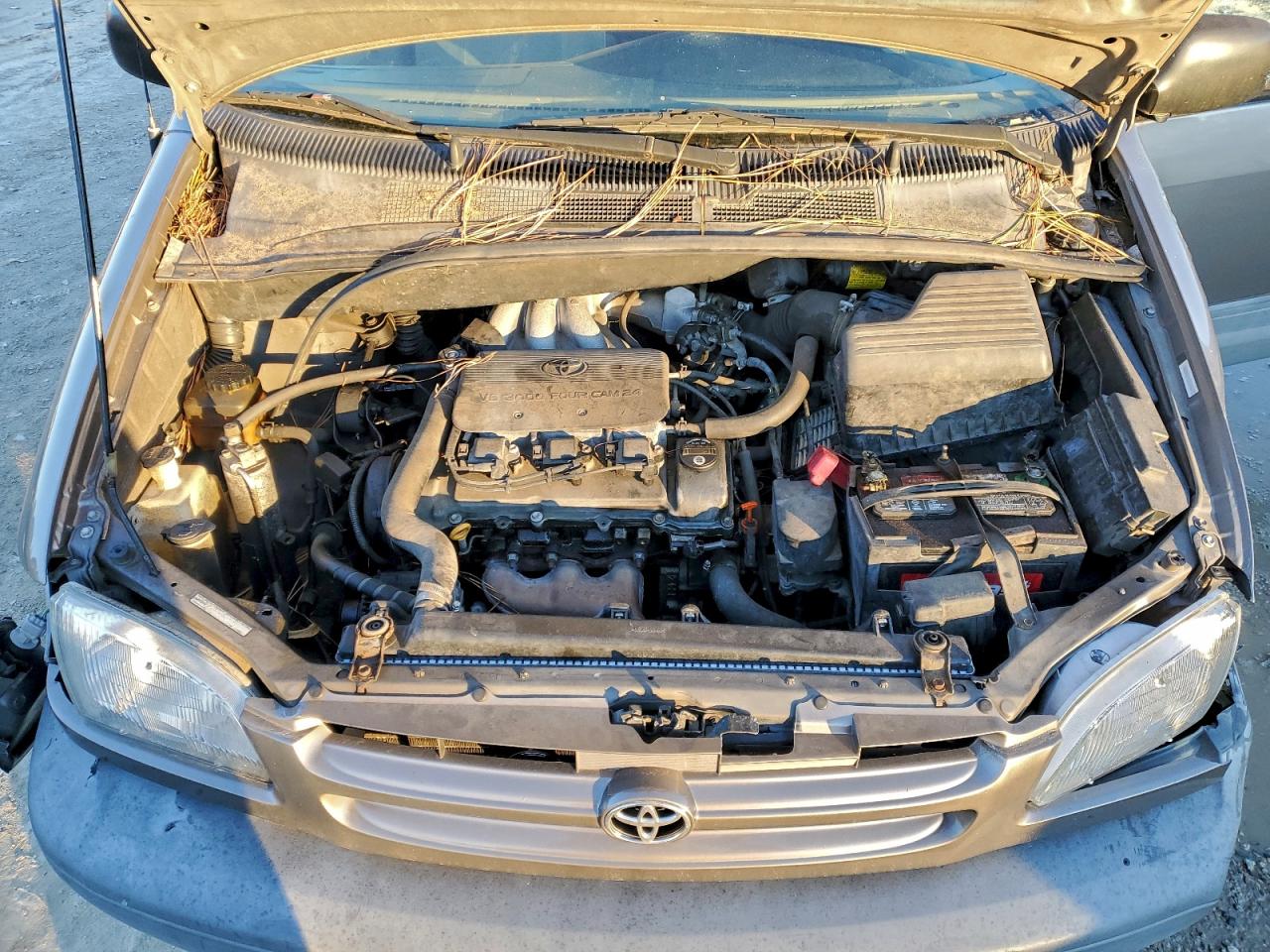 1999 TOYOTA SIENNA LE photo 23