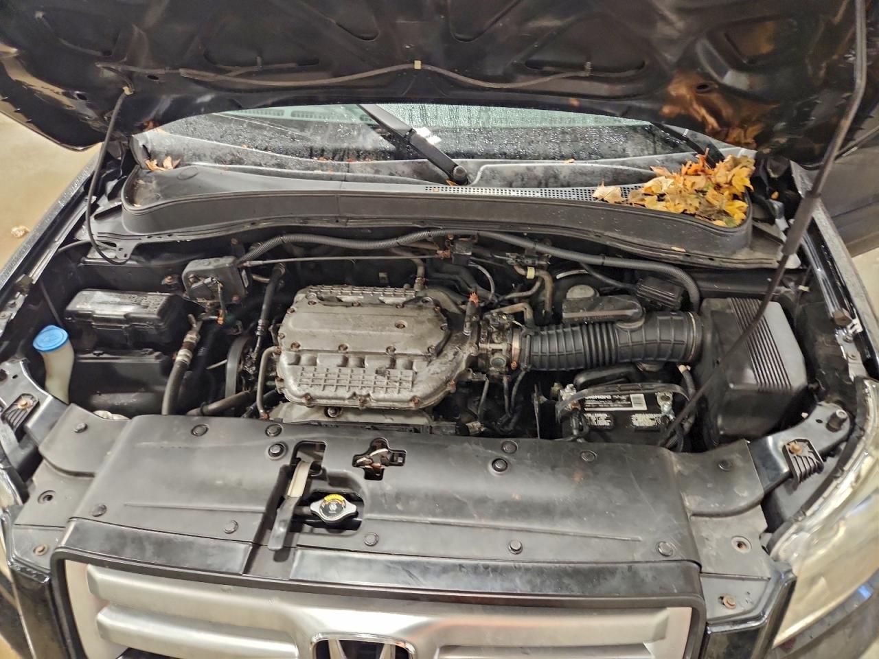 2008 HONDA PILOT SE photo 11