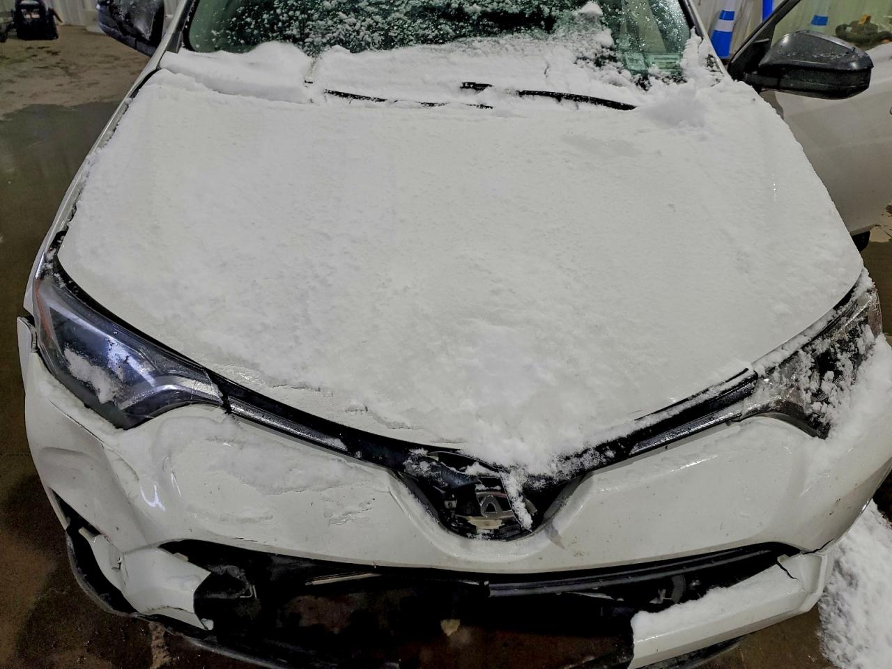 2017 TOYOTA RAV4 LE photo 12