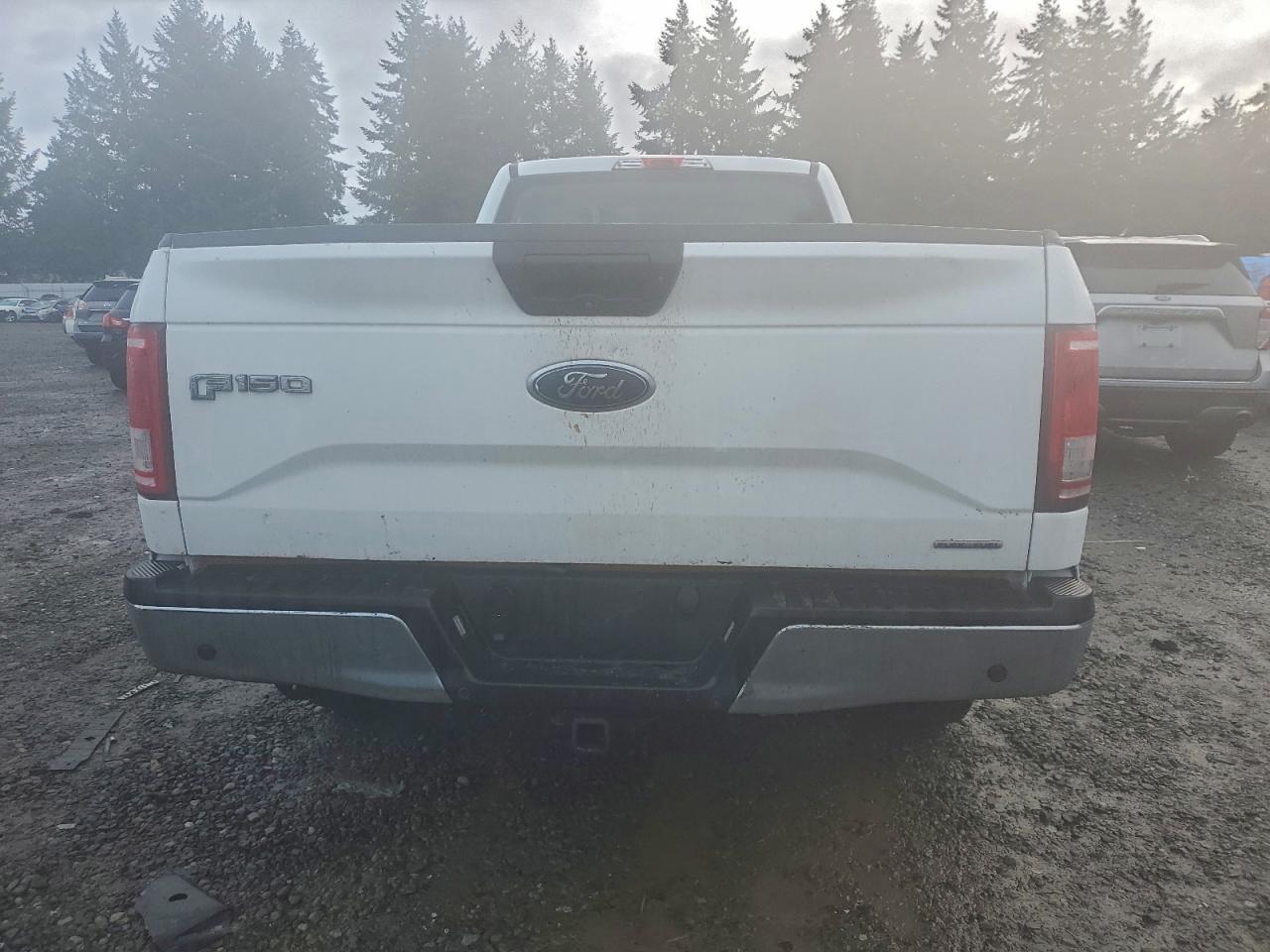 2017 FORD F150 photo 6