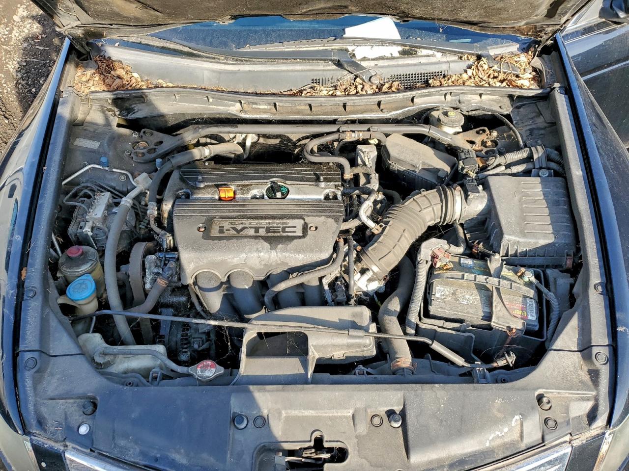 2008 HONDA ACCORD EXL photo 11