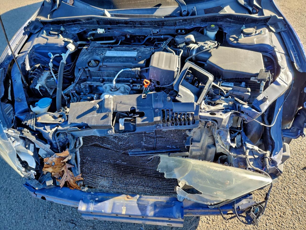 2014 HONDA ACCORD LX photo 11