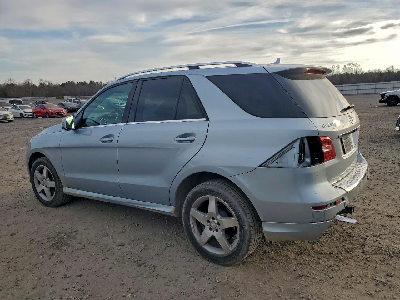 2015 MERCEDES-BENZ ML 250 BLUETEC photo 2