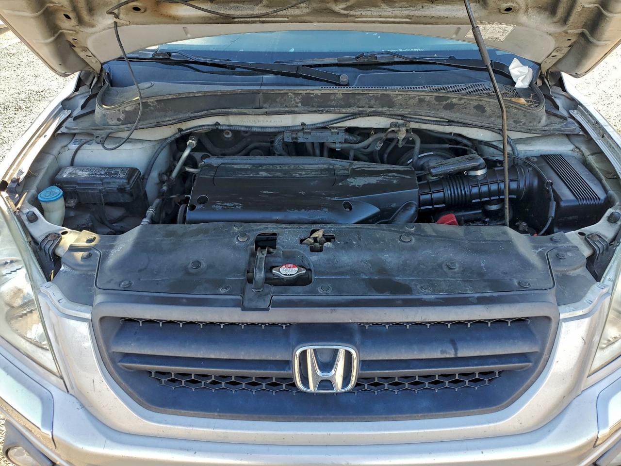 2004 HONDA PILOT EXL photo 11