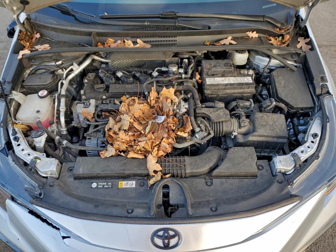2020 TOYOTA COROLLA SE photo 11