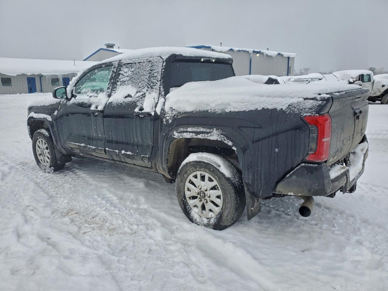 2025 TOYOTA TACOMA DOUBLE CAB photo 3