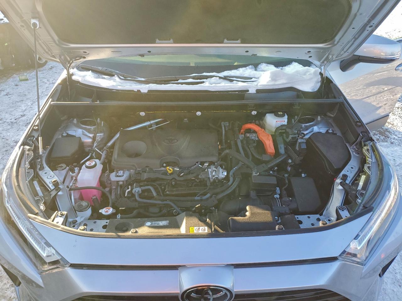 2025 TOYOTA RAV4 XLE photo 12