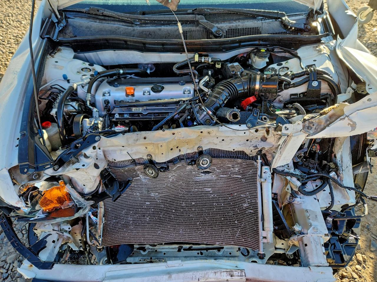 2009 HONDA ACCORD LXP photo 11