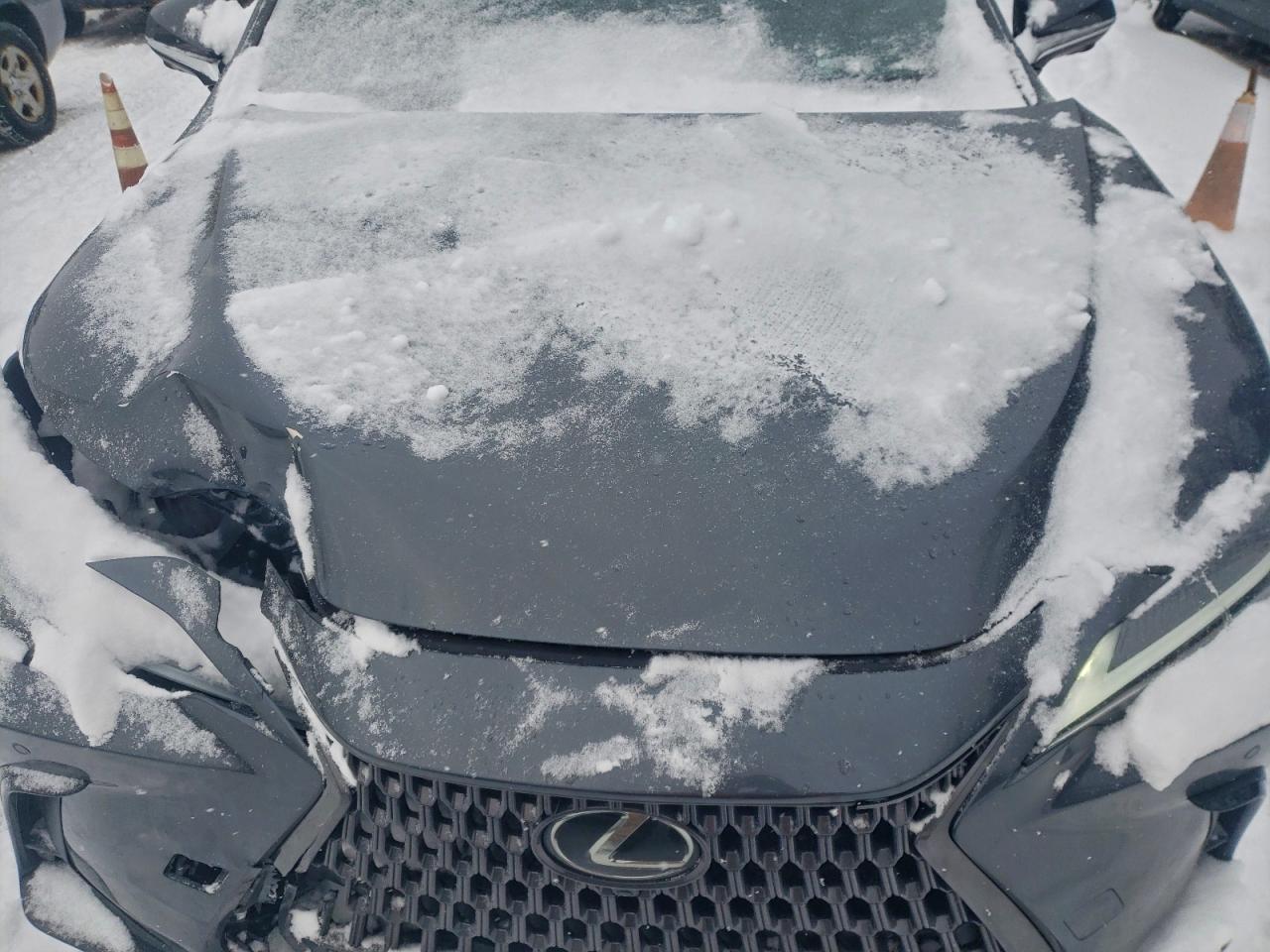 2024 LEXUS NX 350 PREMIUM photo 12